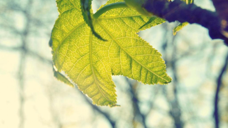 15 best blogs to follow about detoxify