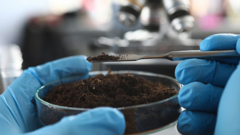 Global Soil Treatment Market Size, Share, Growth, Trends, and Forecast, 2022-2025