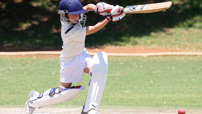 Best Junior Cricket Bats