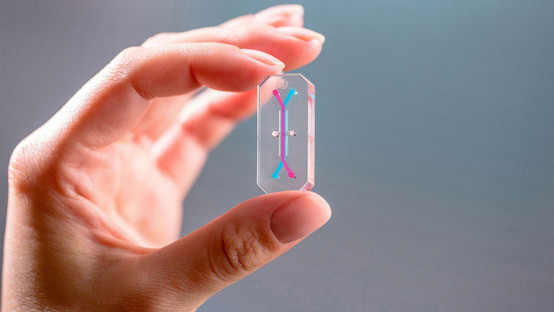 Latest Advancements of Organ on a Chip