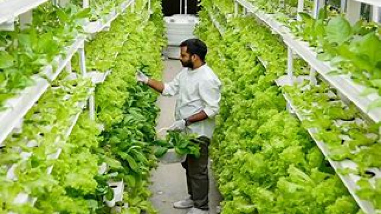Global Vertical Farming Market is expected to expand at a CAGR of more than 21.5% in 2027