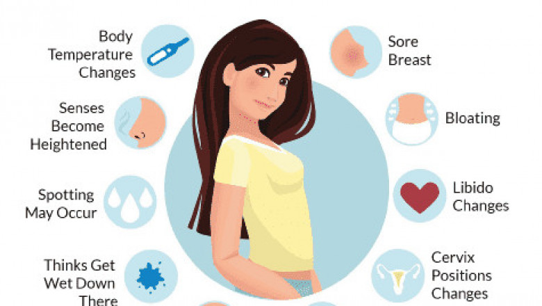 How-to-check-ovulation-by-using-ovulation-calculator-iovulationcalculator
