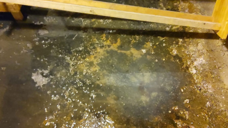 Top Water Damage Restoration Services in Midvale | 1st American Plumbing, Heating & Air