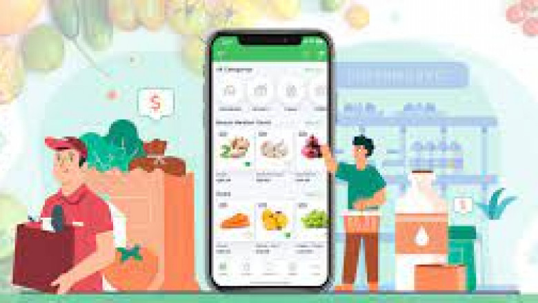 Ideas to Launch Your Grocery Delivery Services