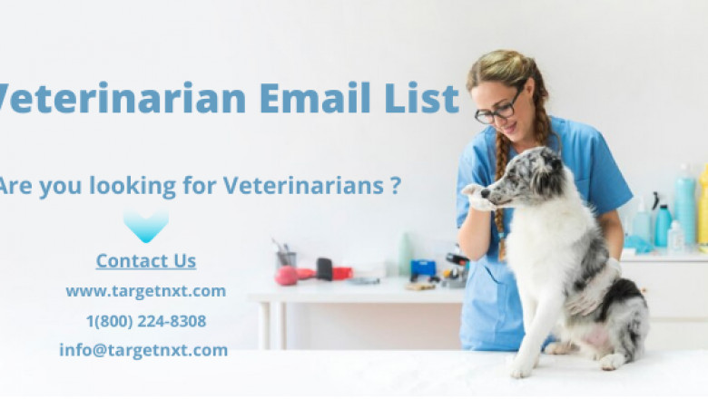 Veterinarian Email List Providers