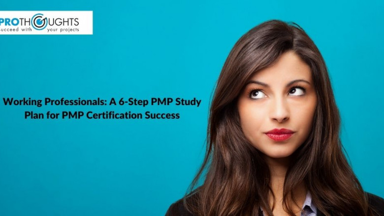 Working Professionals: A 6-Step PMP Study Plan for PMP Certification Success