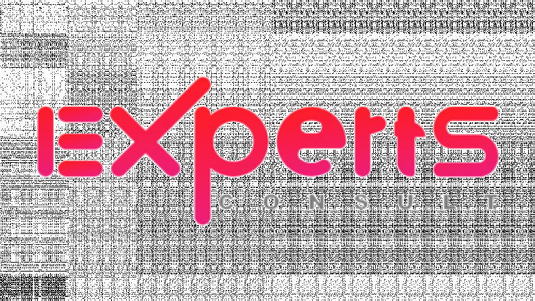 Experts Consult - Connecting Brains Creating Future
