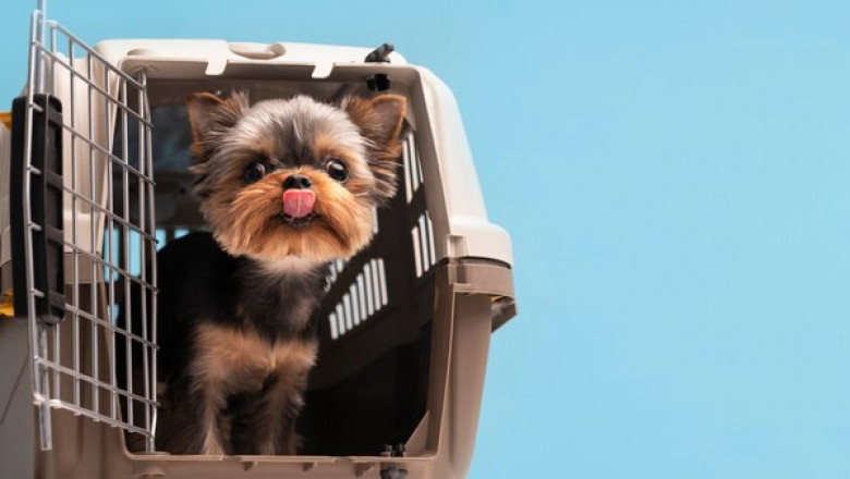 The Use of Dog Crates When Traveling