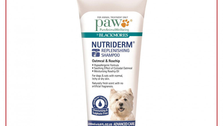 PAW Skin Care Nutriderm Replenishing Shampoo for Dogs and Cats 200 mL