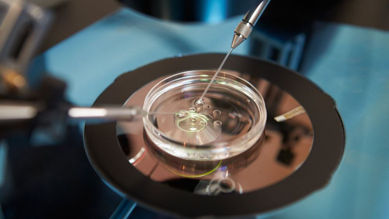 Things to know about In-vitro Fertilization Devices Market