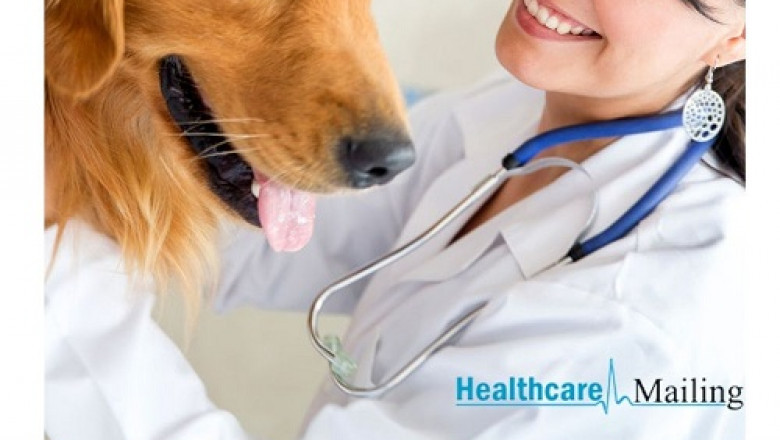 Purchase our competitively priced veterinarian email addresses and achieve your business goals.