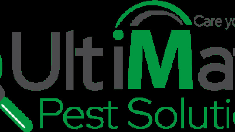 Reasons Why You Need Regular Pest Control Services