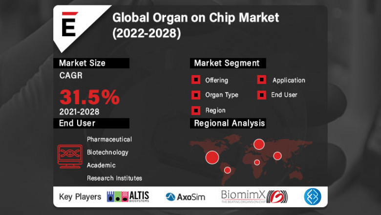 Global Organ On Chip Market Share 2022-2028 | AxoSim, Elveflow, BiomimX SRL, Allevi, InSphero AG