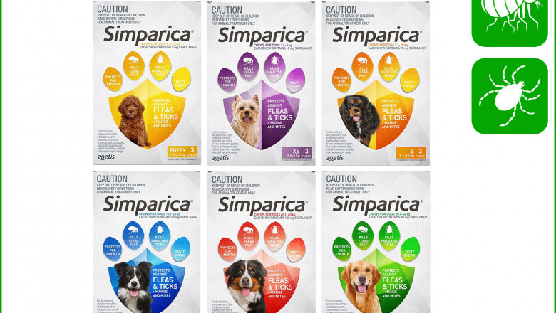 SIMPARICA Flea and Tick treatment 3 Chews for Dogs All Sizes