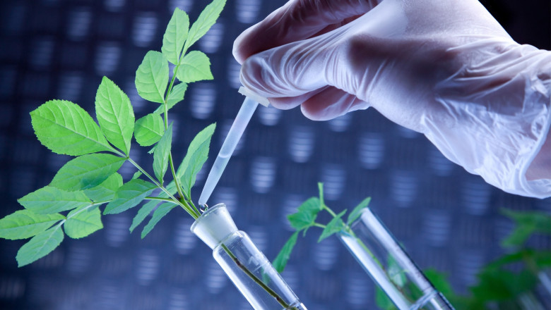 Transition of Renewable Chemicals