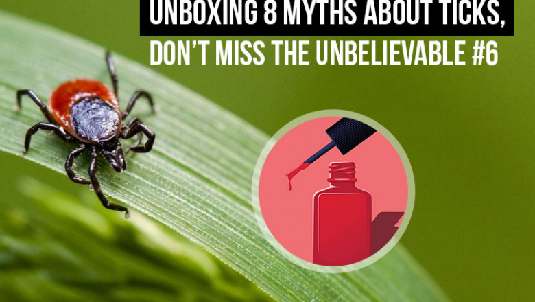 Unboxing 8 Myths about Ticks