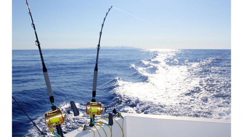 What Is Charter Fishing?