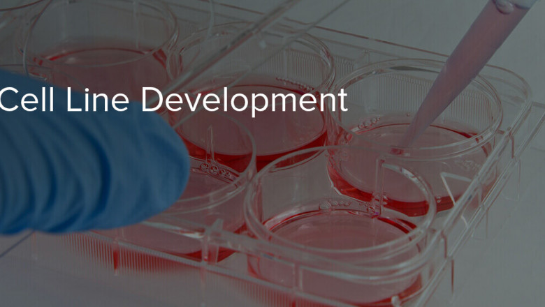 Using Diagnostic Equipment To Produce Therapeutic Biologics Is Known As Cell Line Development