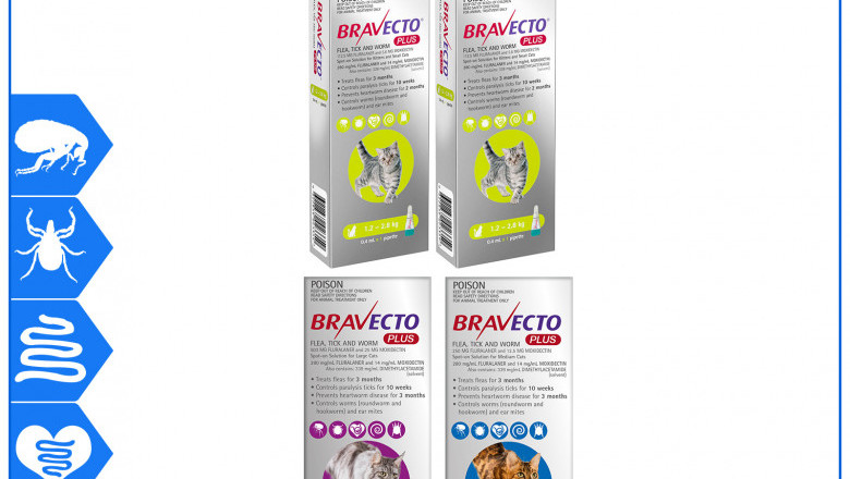Buy Bravecto Plus and Protect your cats from Fleas and Worms for 6 Months
