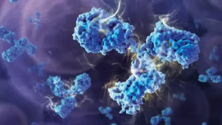 Cancer Oncology Biosimilars can provide additional treatment options as well as be used in conjunction with chemotherapy