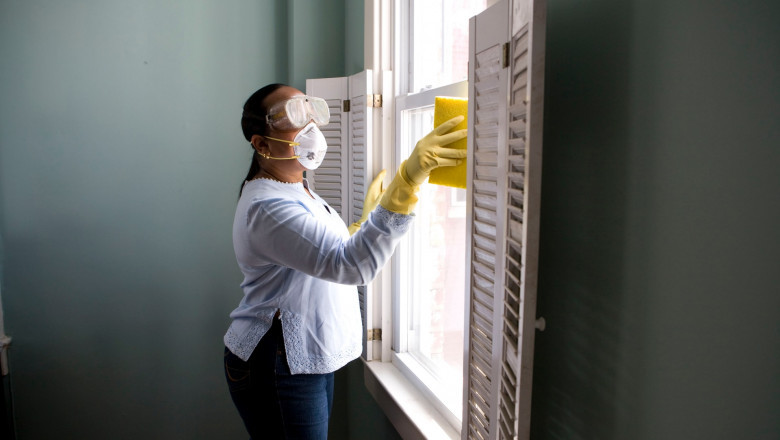 Get more Why Take into consideration Pest Control Services?