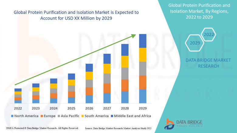 Protein Purification and Isolation Market Size & Outlook, Scope