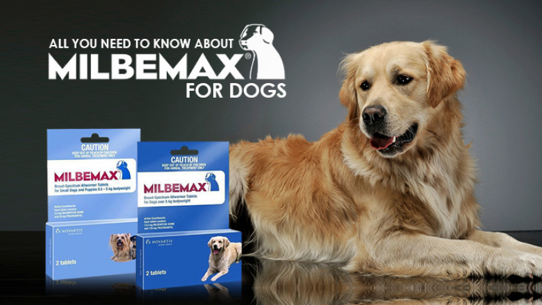 Buy Milbemax Multi-Wormer for Dogs | Broad-Spectrum Protection