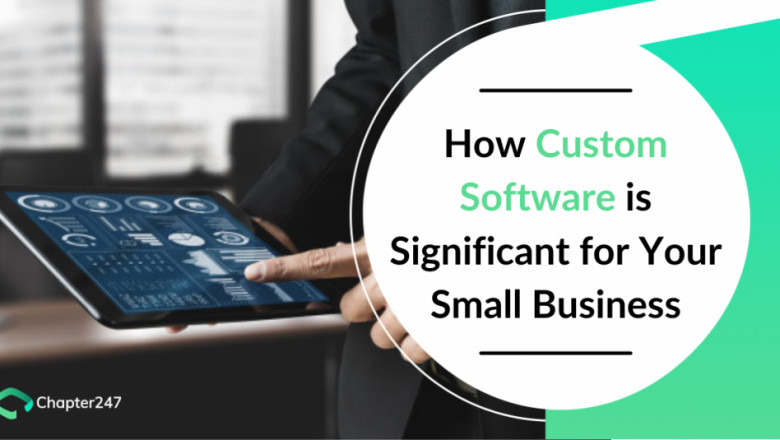 Benefits of Custom Software Development for Enriching Your Small Business