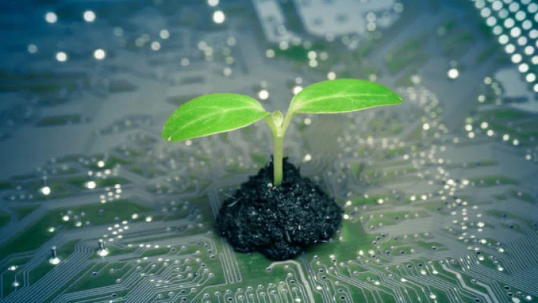 Digital Transformation and Sustainability