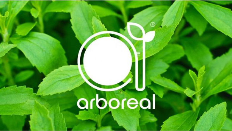 The Sweet Success of Stevia: Forecast and Insights