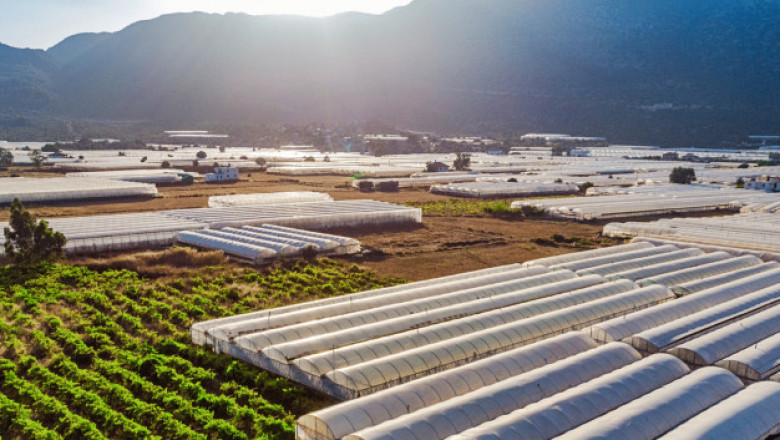 Farmland Management Company Turkey - AIM Farmlands That Manage Farms for Others