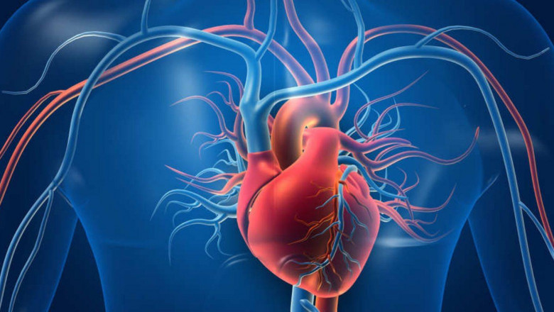 The Demand For Vascular Grafts Is Anticipated To Rise Over Time Due To Genetic And Hereditary Factors