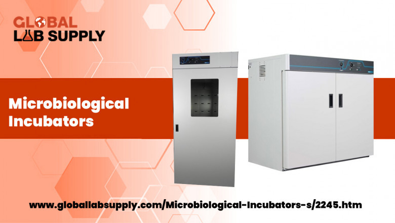 Microbiological Incubators: What Are They and How Will They Help You Grow Your Business?