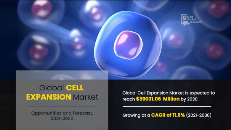 Cell Expansion Market Update: 3 Companies Showing Sign of Enormous Growth