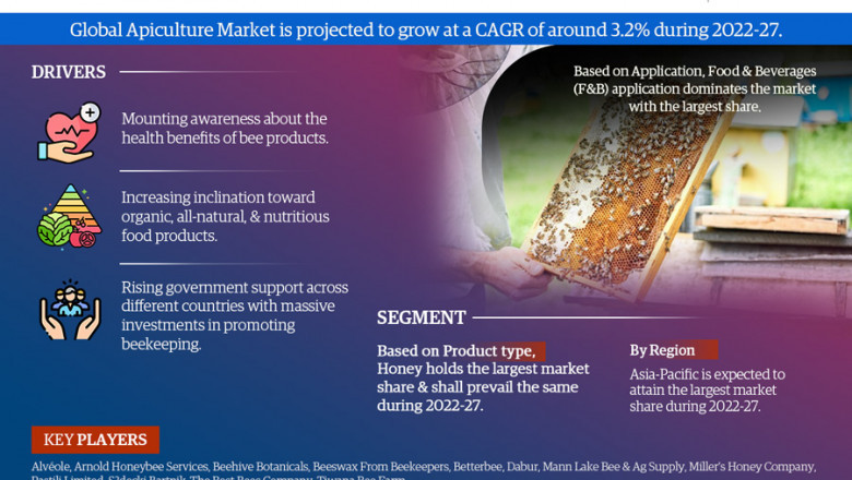 Global Apiculture Market is Thriving Continuously: Top Key Players Strategy and Forecast (2022 - 2027)