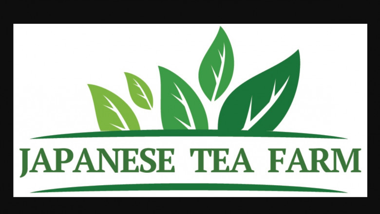 The Various Varieties of Japanese Green Tea Explained