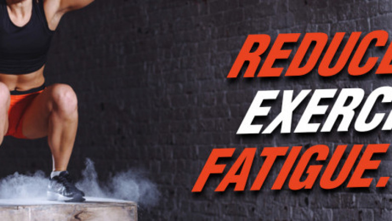 Right Strategies & Efforts FOR Weight Loss Journey