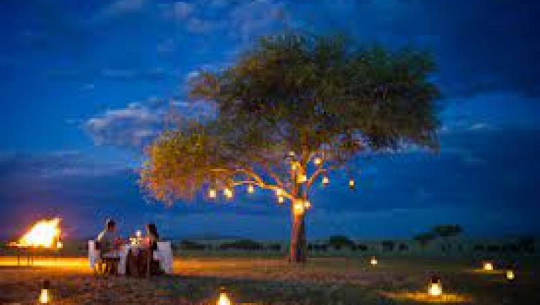 Trip To Tanzania