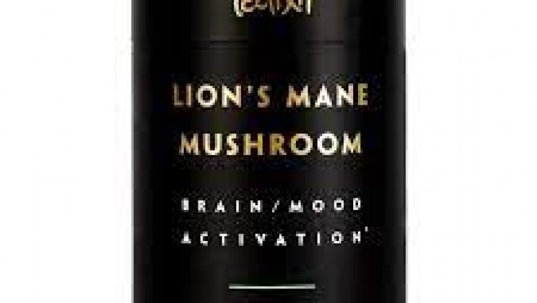 Improve Your Brain Functioning With Lion’s Mane Mushroom