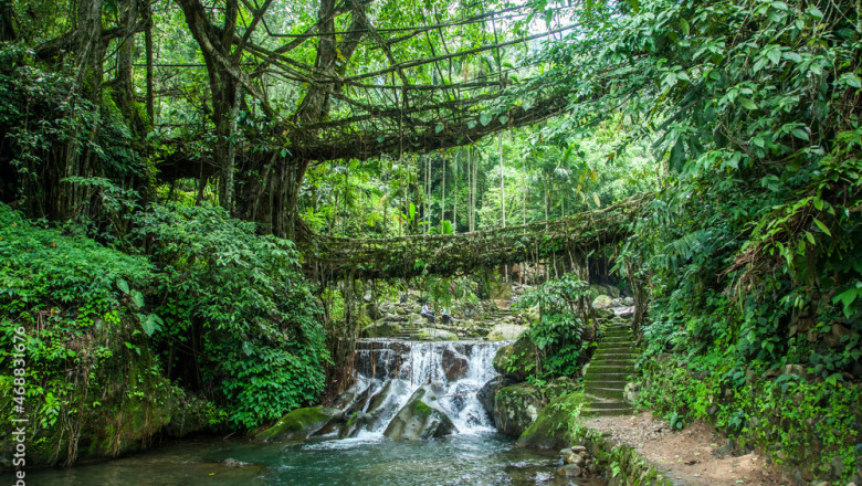 Meghalaya tour packages