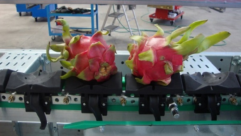 Global Fruit Sorting Machinery Market is Expected to reach USD 517.8 million by 2028 at a CAGR 4.2%