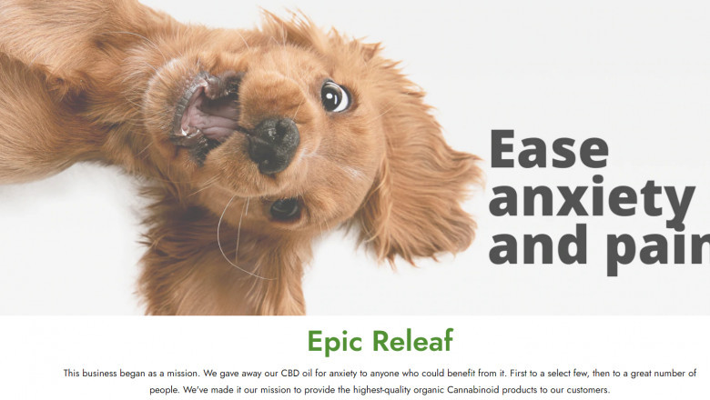 CBD oil for dogs to help your pet receiving healthy body