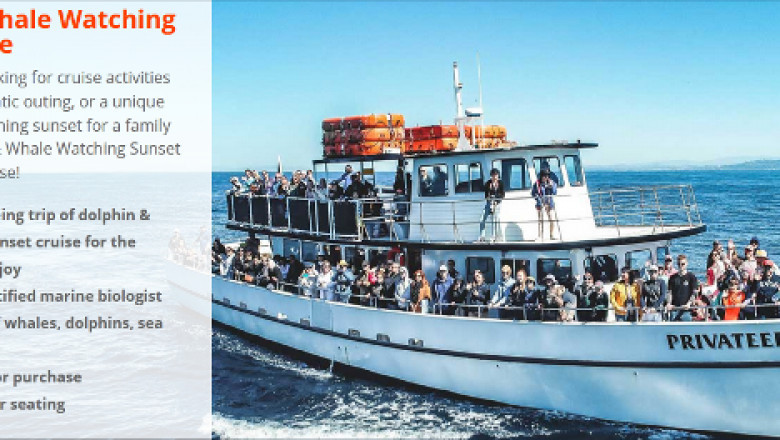 Are you sure with the best whale watching tours in San Diego?