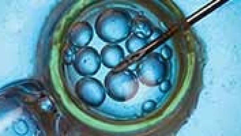 Global Tissue Diagnostics Market Set to Script Impressive Growth