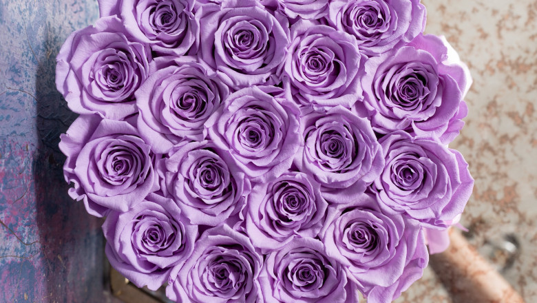 How Preserved Roses Can Transform Your Interior Design