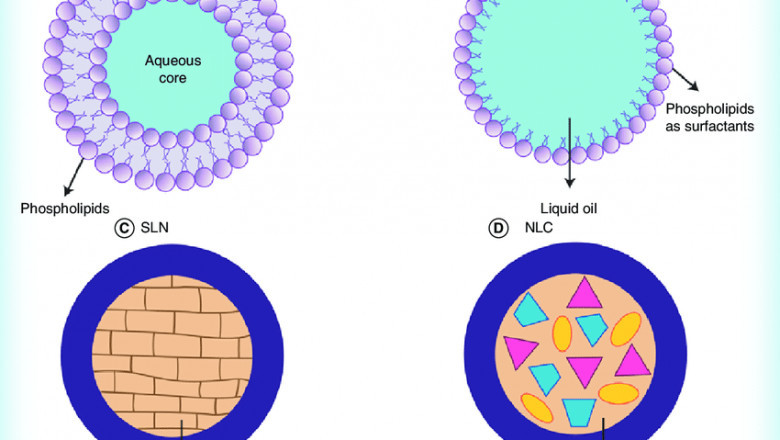 Nanoemulsion Market Analysis, Insights and Trends during Forecast period 2022-2028