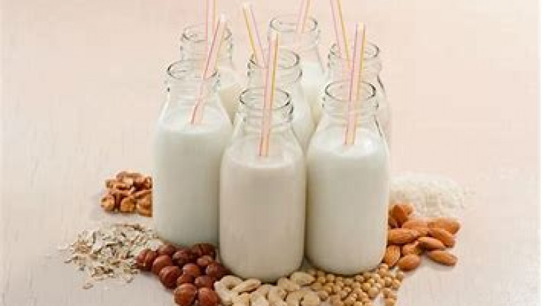 Europe Plant Based Milk Market is expanding to cross over revenue of USD 5 Billion by 2026