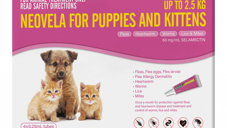 Buy Neovela (Selamectin) Flea And Worming For Cats