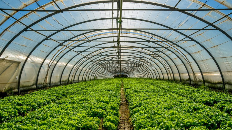 Europe Commercial Greenhouse Market is Anticipated To Grow with a CAGR of More Than 10.40% From 2022 to 2027