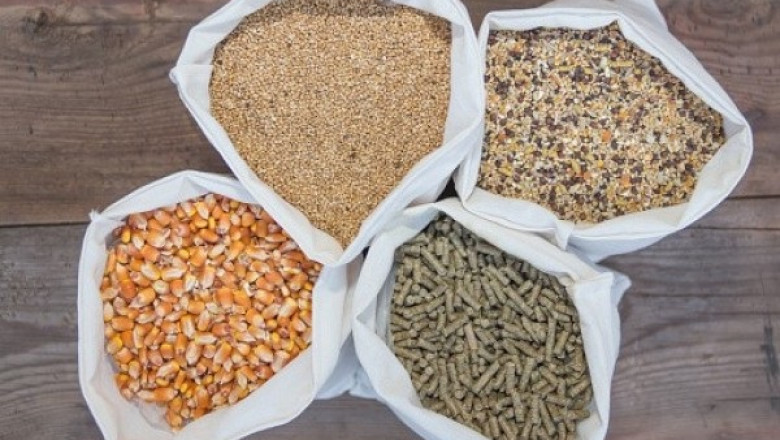 Global Probiotics in Animal Feed Market is Expected to reach USD 8.8 billion by 2028 at a CAGR 7.4%
